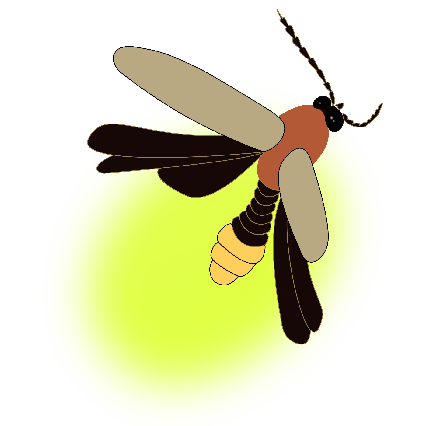 Firefly Cottage